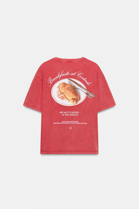 T-SHIRT EFFET DELAVE IMPRIME CORTADO