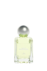 SHADES OF NOSTALGIA EDP 100ML