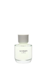 GO FRUITY EDT 90ML