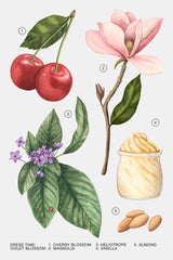 Violet Blossom 180ml